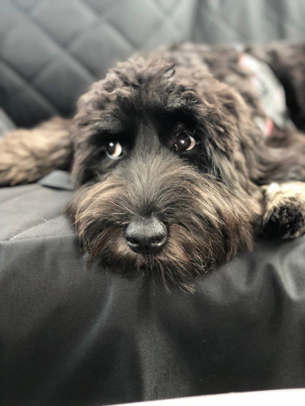 Rosie